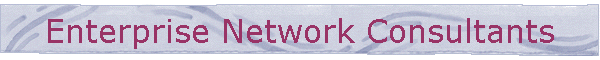 Enterprise Network Consultants